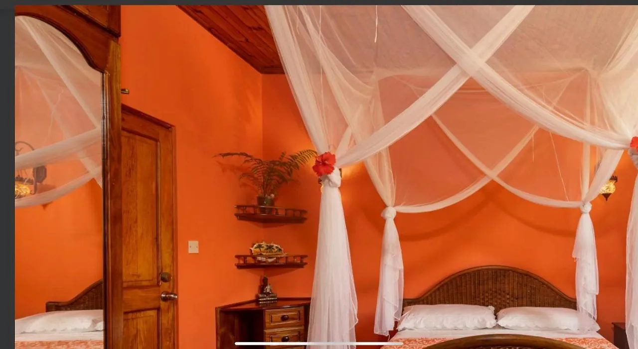 Effie Mountain View Coco Villa Misere Seychelles